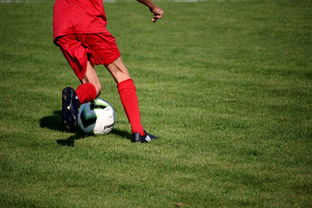 星空体育最新官网-中国篮球青年运动员选拔体系研究，中国篮球国家青年队选拔方式