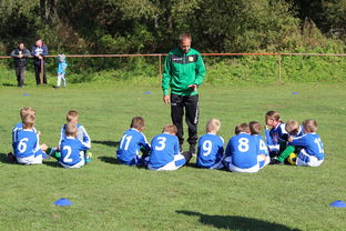 星空·综合体育-德甲球队战术模拟平台辅助比赛策略调整的应用研究，德甲游戏