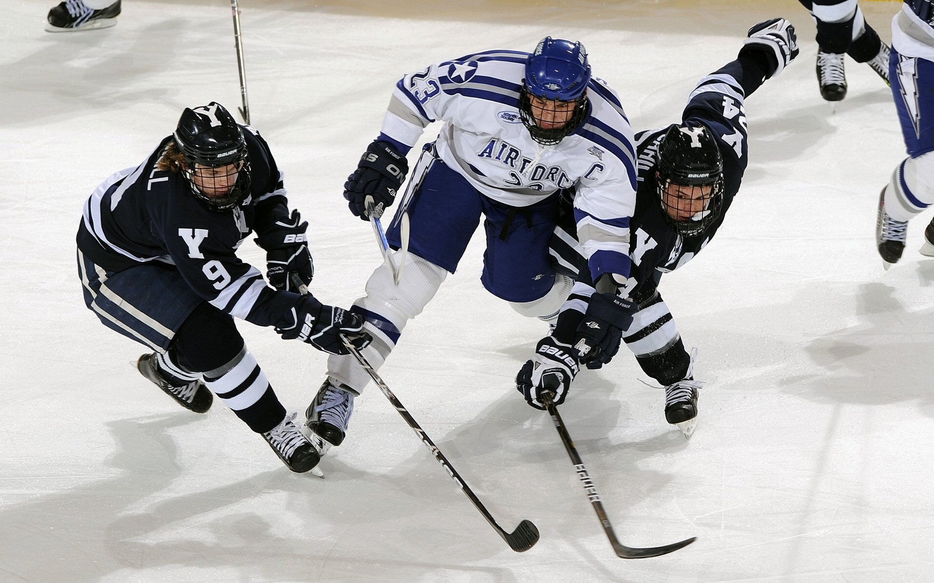 史密斯蝶泳仰泳双线强势,女子游泳史密斯