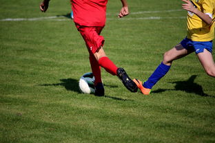 星空体育最新官网-中小学篮球教研活动不断创新教学方法提升训练效果，篮球教研活动总结