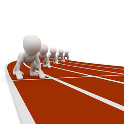 星空体育app-体育新闻中心记录重大体育设施落成全程报道，体育新闻中心记录重大体育设施落成全程报道怎么写